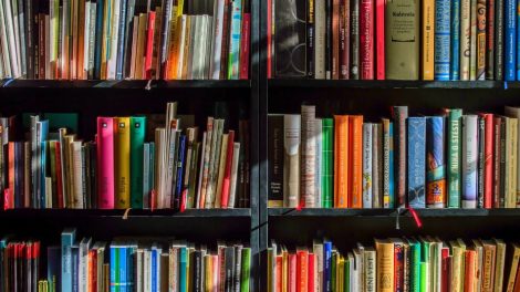 Cinco livros de Literatura infantil para o Dia do Leitor