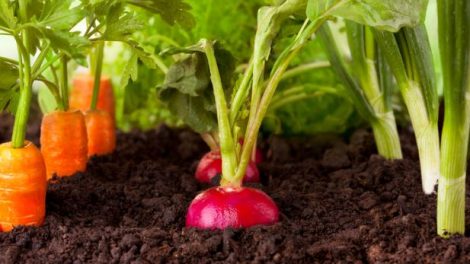 O Procon Carioca, órgão vinculado à secretaria Municipal de Cidadania, notificou a empresa Uber do Brasil Tecnologia a apresentar esclarecimentos, no prazo de 24 horas, na sede do Instituto Municipal de Proteção e Defesa do Consumidor, no bairro do Estácio, a respeito de cobrança de taxas extras pela prestação do serviço, sem aviso prévio ao cliente.