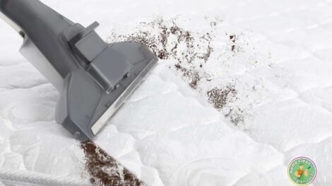 Transforme Seu Lar com a Homeclean: Especialistas em Limpeza de Estofados no RJ