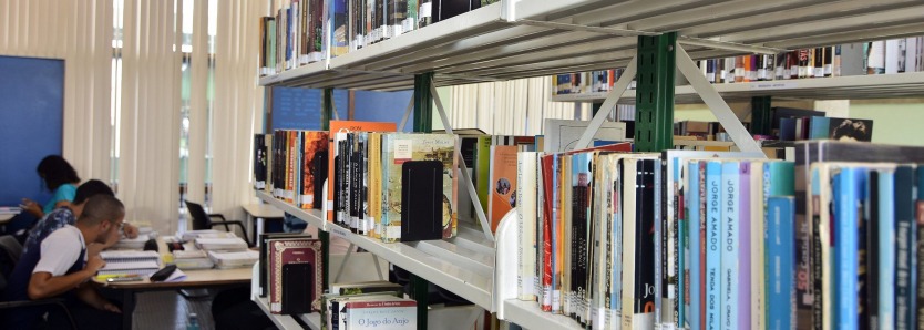 "Um Defeito de Cor": livro que inspirou Portela está disponível nas Bibliotecas do Sesc RJ