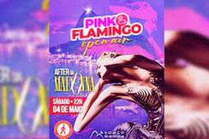 Pink Flamingo Open Air
