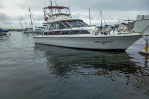 Passeio de lancha na Marina da Glória