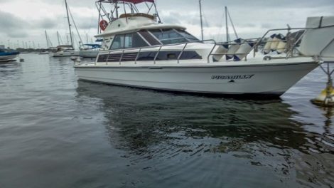 Passeio de lancha na Marina da Glória