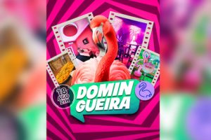 Pink Flamingo: Domingueira