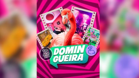 Pink Flamingo: Domingueira