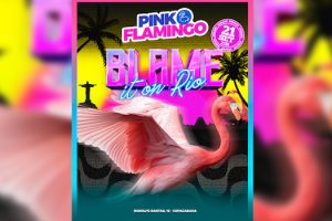 Pink Flamingo: Blame it On Rio