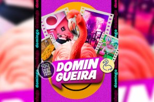 Pink Flamingo: Domingueira