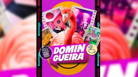 Pink Flamingo: Domingueira