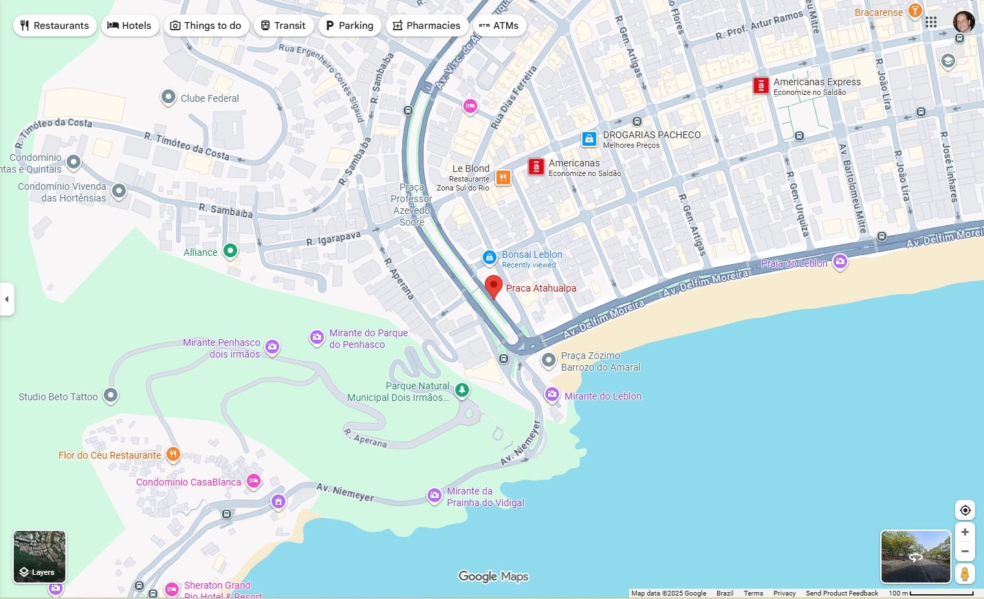 Onde Encontrar Bonsai no Rio de Janeiro?