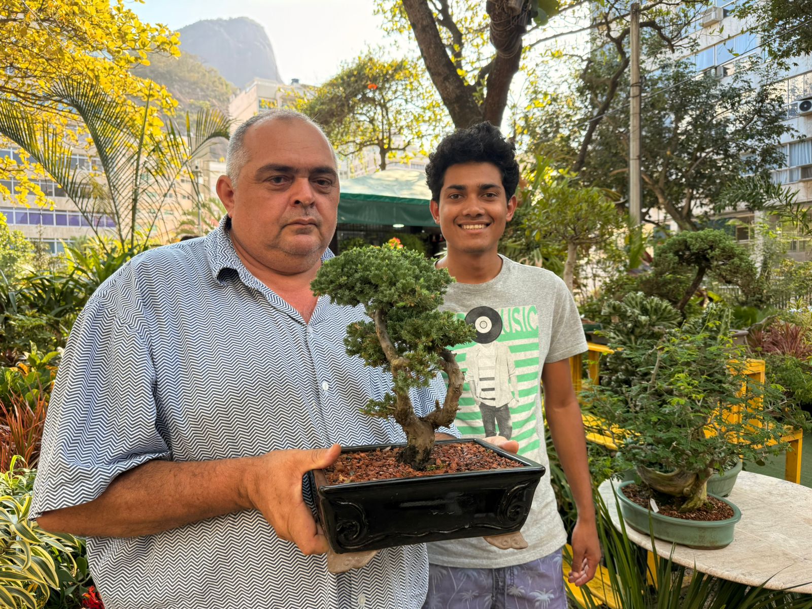 historia-bonsai-rio-de-janeiro