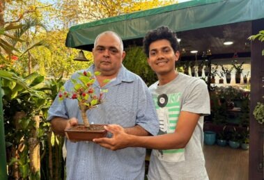 historia-bonsai-rio-de-janeiro