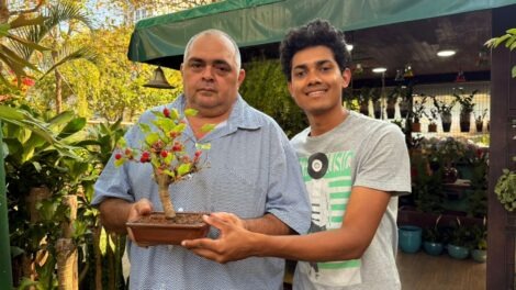 historia-bonsai-rio-de-janeiro