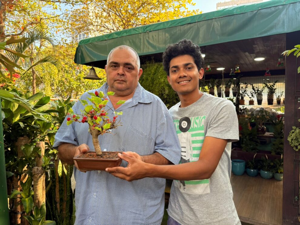 historia-bonsai-rio-de-janeiro