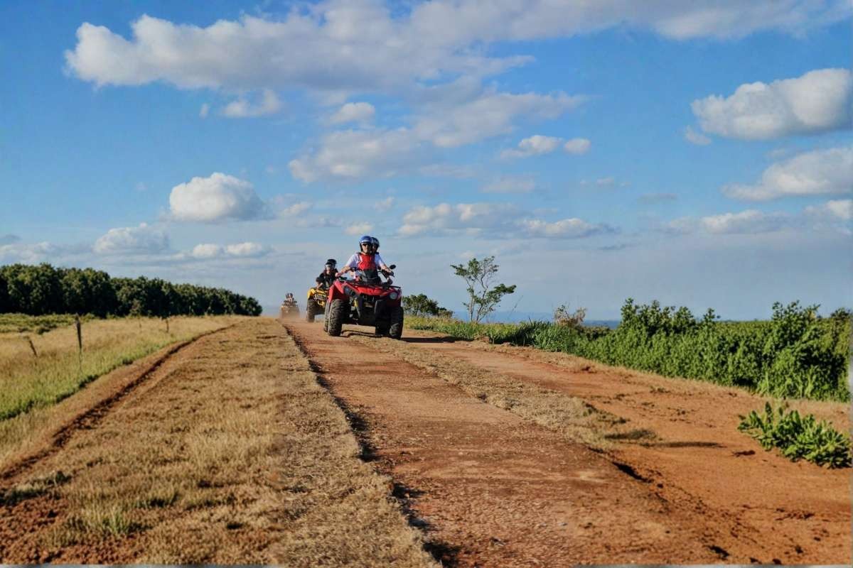 Itaipava: roteiro de fim de semana com natureza